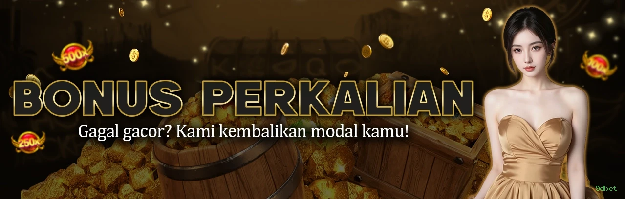 9dbet Plataforma